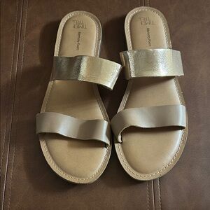 Time and Tru Metallic Gold Sandals